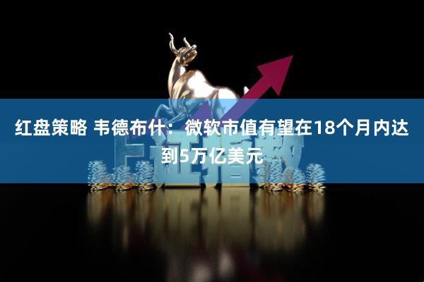 红盘策略 韦德布什：微软市值有望在18个月内达到5万亿美元