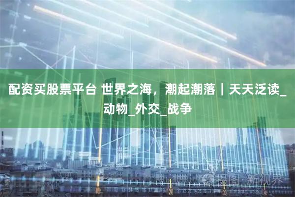 配资买股票平台 世界之海，潮起潮落｜天天泛读_动物_外交_战争