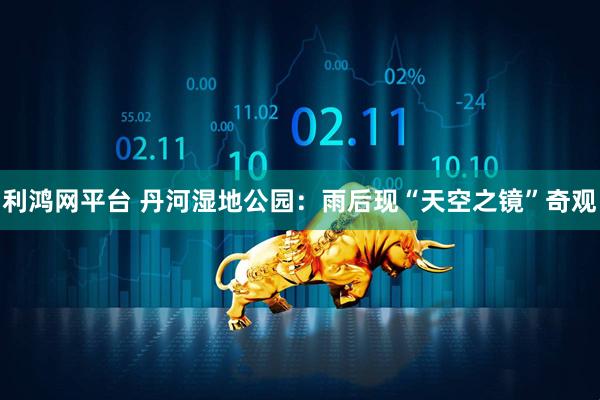 利鸿网平台 丹河湿地公园：雨后现“天空之镜”奇观