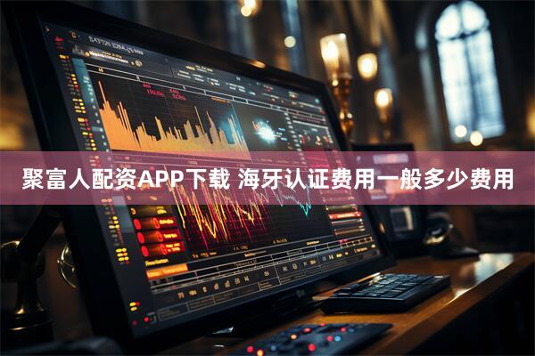 聚富人配资APP下载 海牙认证费用一般多少费用