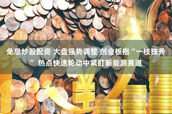 免息炒股配资 大盘强势调整 创业板指“一枝独秀” 热点快速轮动中紧盯新能源赛道